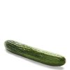 Daylesford Organic Organic Cucumber Wholesale