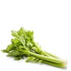 Daylesford Organic Organic Celery New