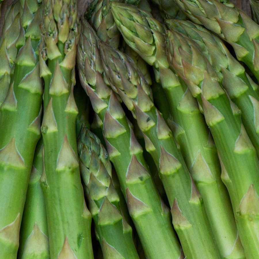 Daylesford Organic Asparagus Bunch New