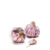 Daylesford Organic Organic Garlic Clearance