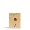 Daylesford Organic Poppy Single Mix Seeds Clearance