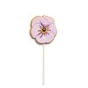 Daylesford Organic Viola Iced Biscuit Lolly Wholesale