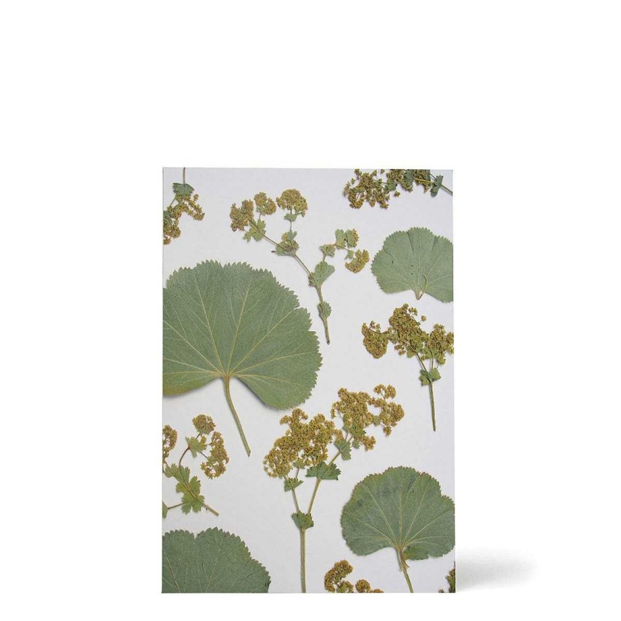 Daylesford Organic Daylesford X Jamjar Edit Floral Postcard Set Hot