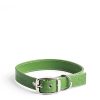 Daylesford Organic Apple Leather Collar Green Large Clearance