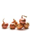 Daylesford Organic Organic Onions New