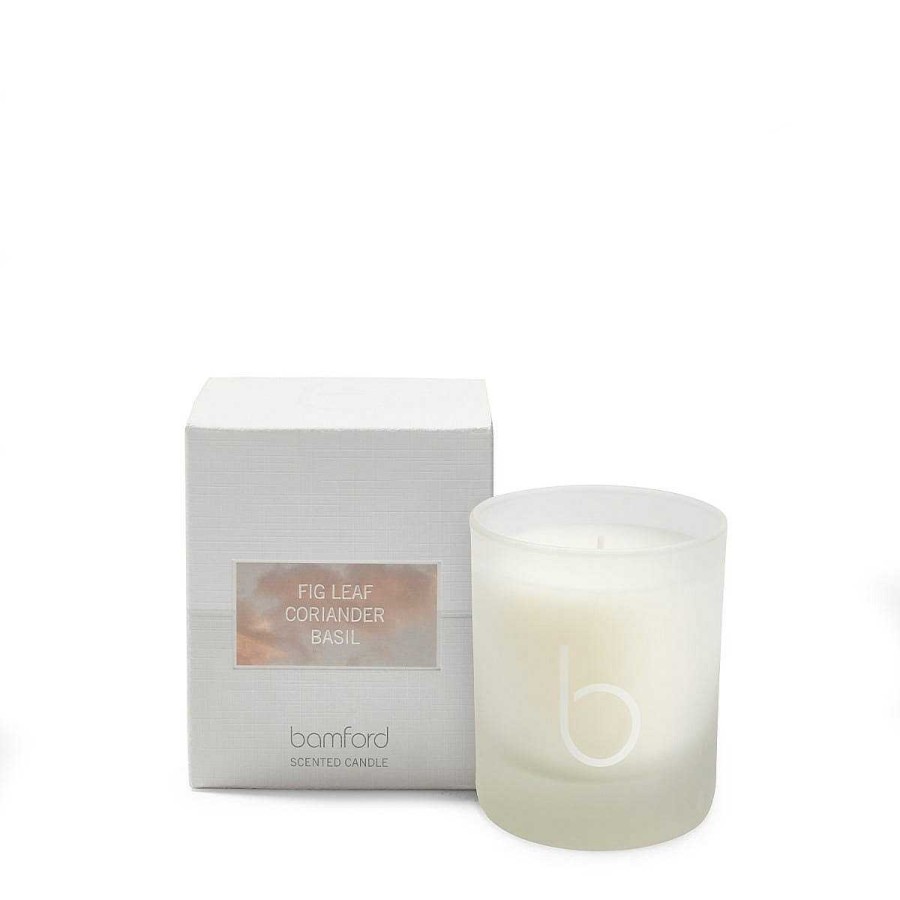 Daylesford Organic Bamford Fig Single Wick Candle Clearance