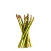 Daylesford Organic Asparagus Bunch New