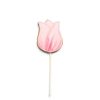 Daylesford Organic Tulip Iced Biscuit Lolly Clearance