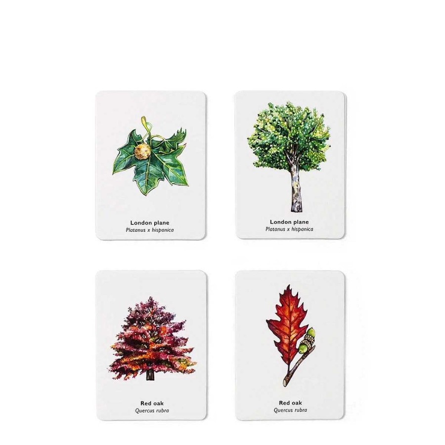 Daylesford Organic Match A Leaf A Tree Memory Game Wholesale