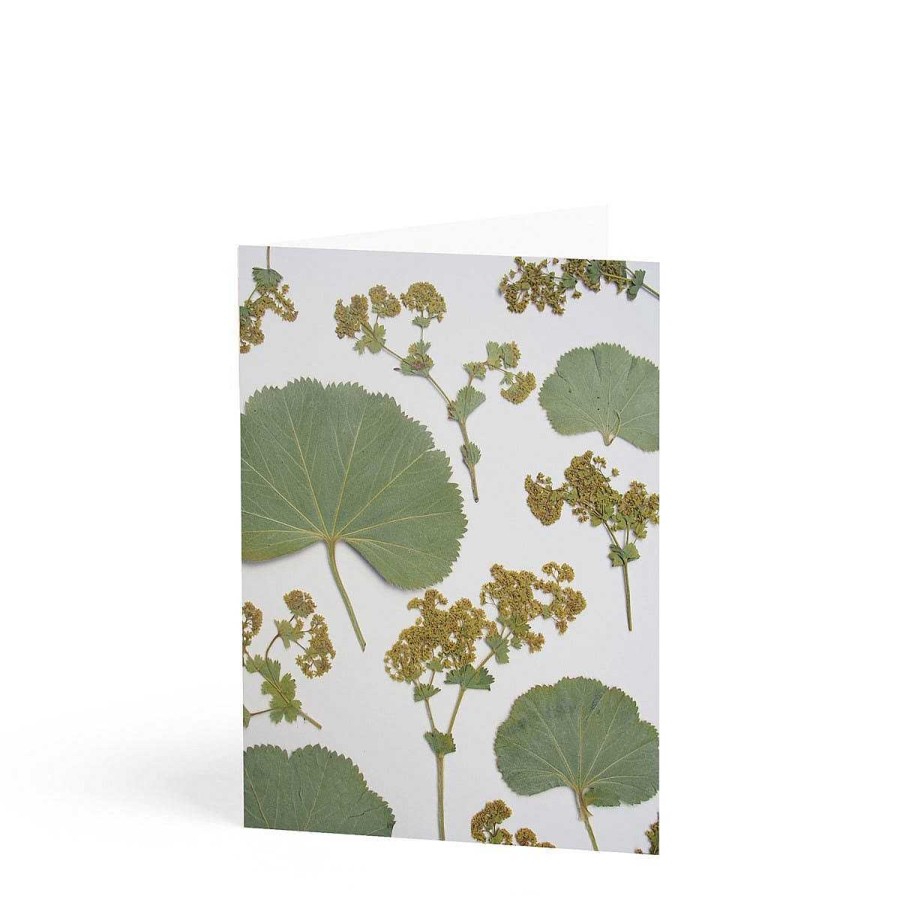 Daylesford Organic Daylesford X Jamjar Edit Floral Greeting Card Set Wholesale