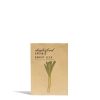 Daylesford Organic Leek Bandit Seeds Online