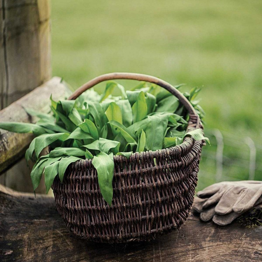 Daylesford Organic Market Garden Wild Garlic Bunch Hot